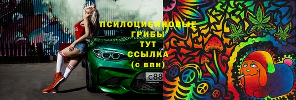 спиды Верея