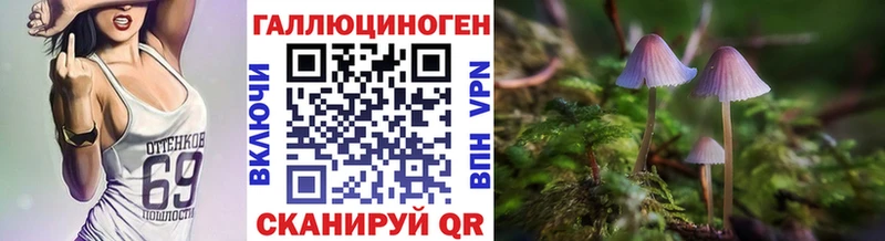 Галлюциногенные грибы Psilocybe  цены   Опочка 
