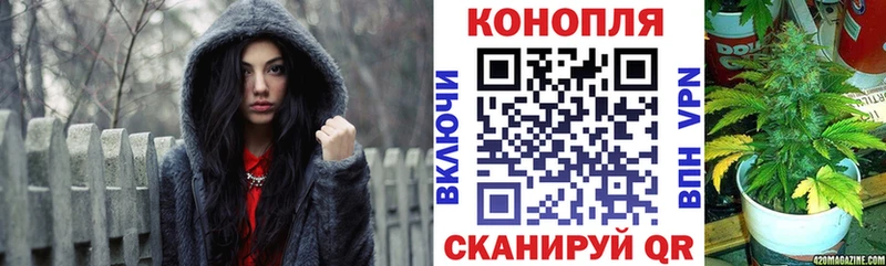 Конопля THC 21% как найти закладки Опочка